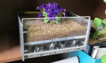  green roof section model