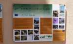  project info board outside demonstration green roof