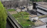 Green roof plot at the Poitecnico di Milano (second from the top)